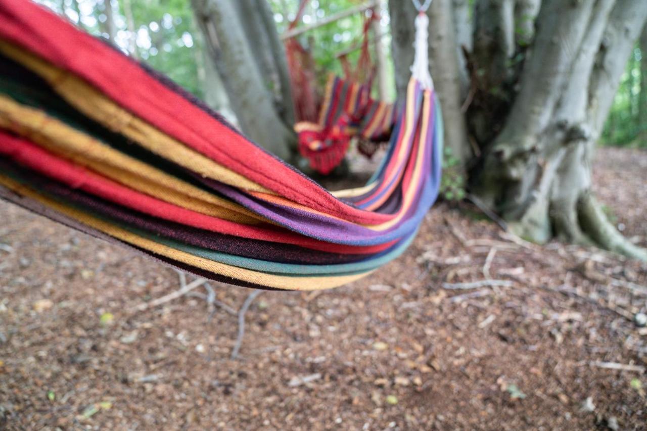 Gite Calypso De 14 Personnes Fecamp Etretat Colleville Экстерьер фото